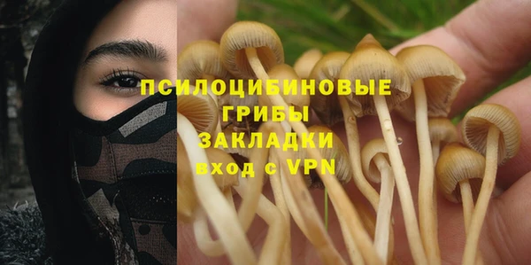 мескалин Богородицк