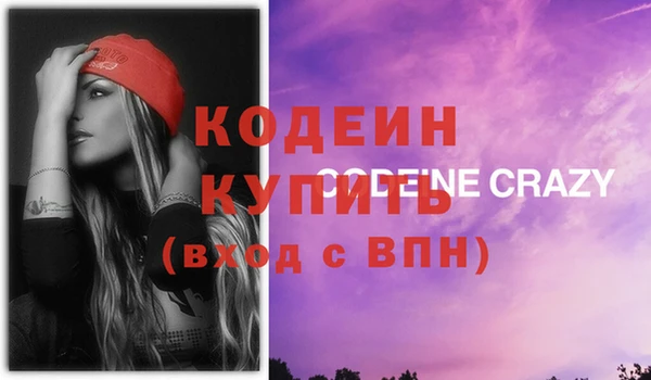 ГАЛЛЮЦИНОГЕННЫЕ ГРИБЫ Богданович