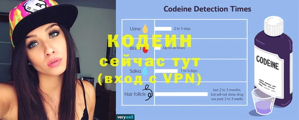 ГАЛЛЮЦИНОГЕННЫЕ ГРИБЫ Богданович