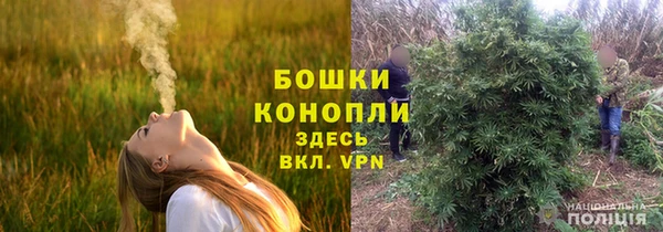 мескалин Богородицк