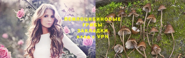 шишки Беломорск