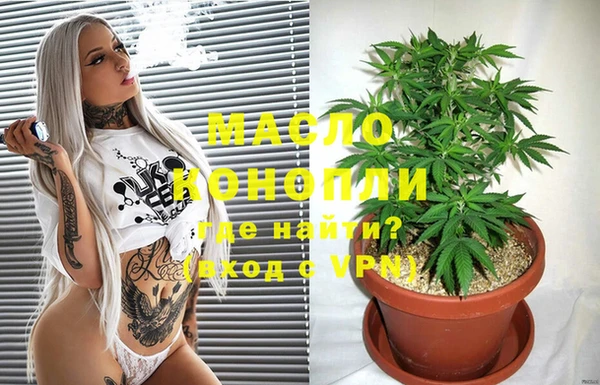 ГАЛЛЮЦИНОГЕННЫЕ ГРИБЫ Богданович
